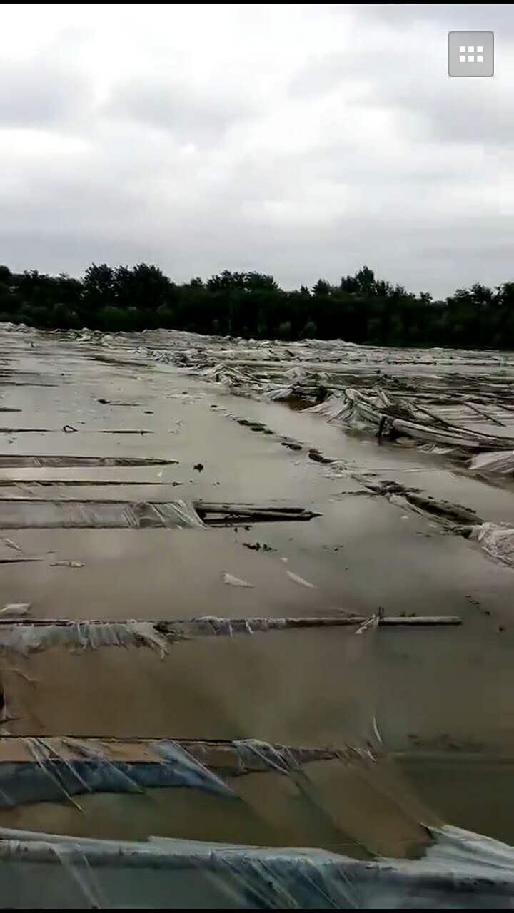 396725607.jpg 396725607.jpg